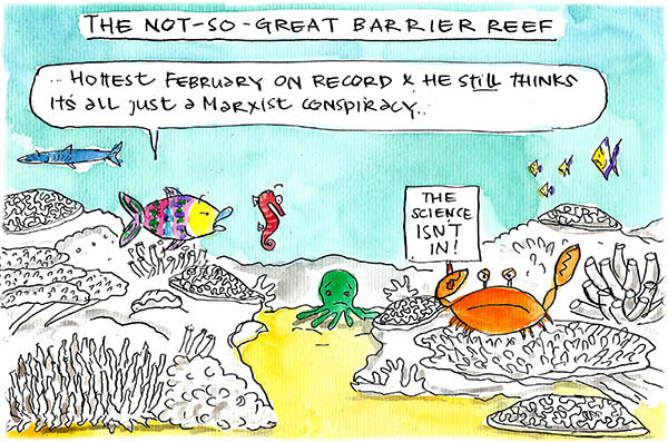 160322 Not So Great Barrier Reef 600